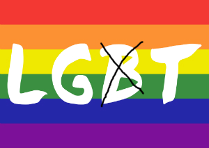 lgbt flag no b