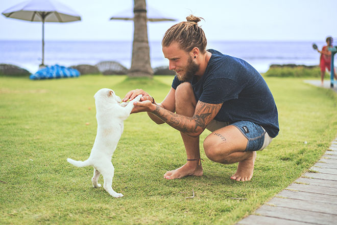 Man playing with a dog