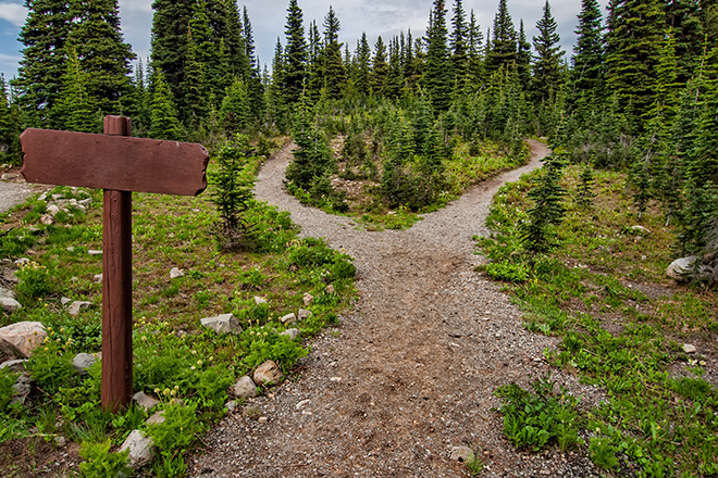 Two paths diverging